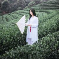 伤心笑 开心泪 初见你的时候绝对不知