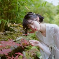 顾林溪 记忆屏障中，曾经心动