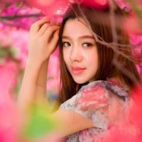 顾林溪 从此盲了时间，迷了归