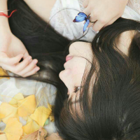 蝶化。 解释永远都是多余的，