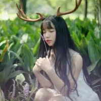 森 兔子不吃窝边草，好马