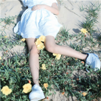 森 兔子不吃窝边草，好马