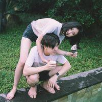 林挽 爱了 伤了 痛了 离