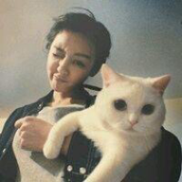 猫仔 我不是傻 我只是聪明
