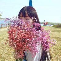 都是些杂图呢 www.qqtn.c