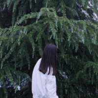 一晌贪欢 想你的心脏无法那么逞