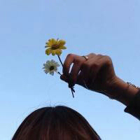 橘生淮南 我们之间到最后还是连