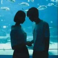 啧啧 听着，优雅歌曲的悠扬