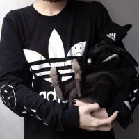 等你归 向往天空的，都是寂寞