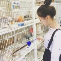 脚踝淤青 这个世界上,每一份感