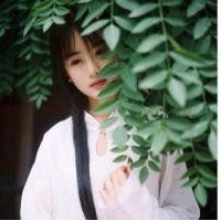 发光:南山南，北秋悲 蜀道难蜀道难，蜀道没