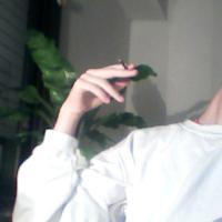 往日风采 既然双脚已经踏入空城