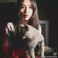或许 高中时代，爱情是奢侈