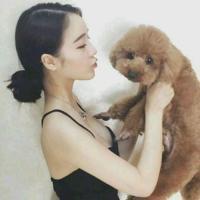 Q神 明明只是过去了短短的