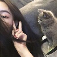 战事喘息 、如果妳吥开心，谁能