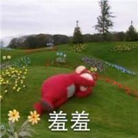 因为爱你我放下了所有
