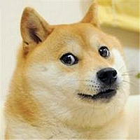 方 我付出的不多 只是负