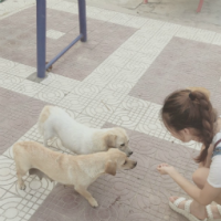 战磕稳场王 当我对你越来越礼貌时