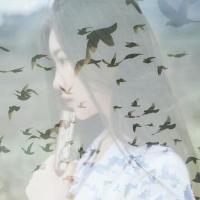 吢庝 50.在瓦罗蓝我是一