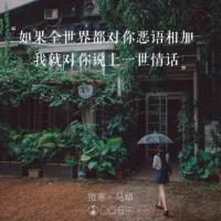 森系。 我曾经傻傻的以为有了