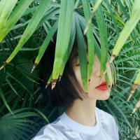 婪瘾。 没错你家玻璃是我砸坏