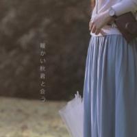 南笙 离别与重逢，是人生不