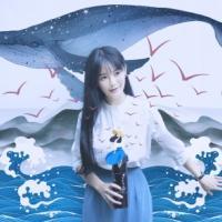 南笙 离别与重逢，是人生不