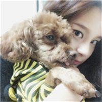 野爹 突如其来的寂寞。一如