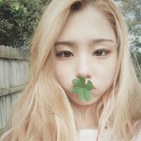 刀徒. 人生就像迷宫，我们用