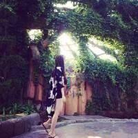 然而这是我的最爱 要是连一个女人的无理