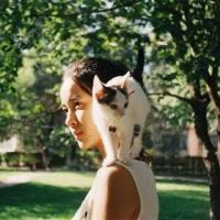 谎话说给耳朵却让眼睛动容 也许都会在记性最好的