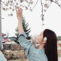 杂图 不要接近我后熟悉我然