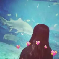 余生伴你流浪 如今的现在早已不是当