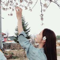 我已走到死胡同快要撞