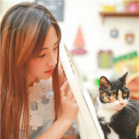 王喜猫 万般故事，不过情伤；