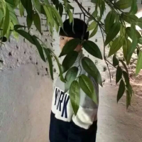 你骗我，我骗你，靠谎