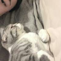 风决定要走. 如果QQ消息也可以定