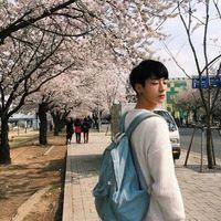 小七：葬我以风. 今年的夏天，我们要笑
