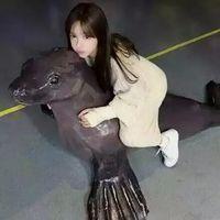 人潮拥挤记得牵紧我 碎花般得青春，如同深