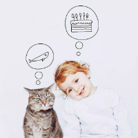 猫步 韶华不为少年留 说的