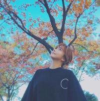 韩 我想和你 玩捉迷藏