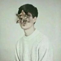 你也不必牵强再说爱我