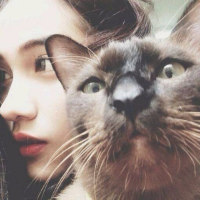 少女 三个方法便可解决一切