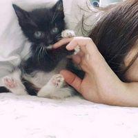 笑涡红透 我爱你 三行太长 一