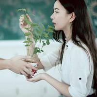 做我怀中人 四季很好，如果你在。
