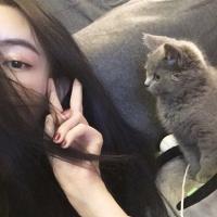 [颜果果] 如果以后只有一口稀饭
