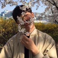 ID爱丽丝 许多时候，让我们放不