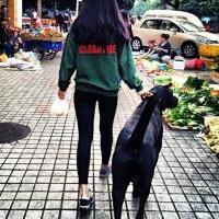 我一再努力却终究被无