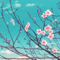 你走吧 这次我不追了/Ciel. 誰不是別人生命中的過