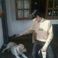 伴我亡。 如果你不去尝试，永远